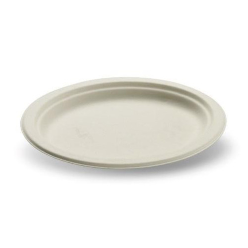 piatto-piano-ecologico