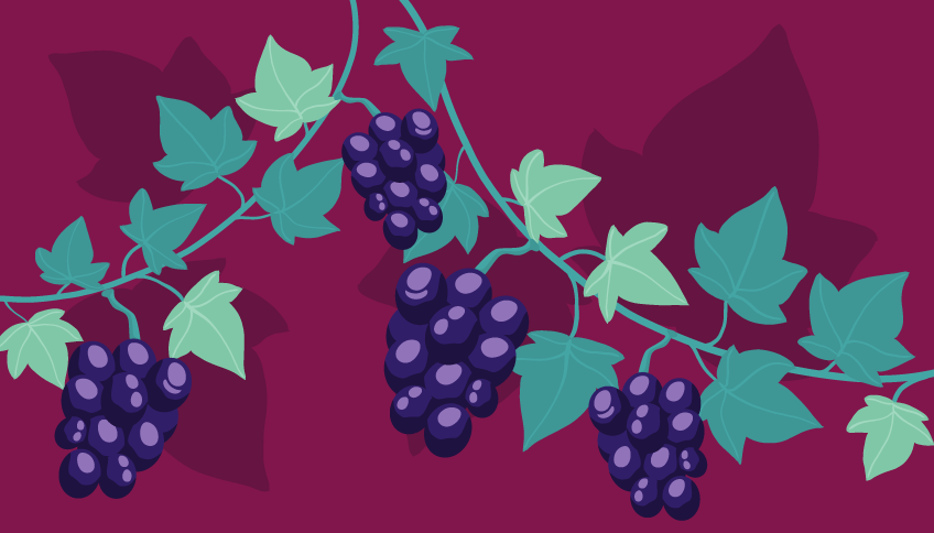 vinoterapia set cortesia divinum